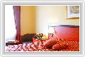  4  Golden Tulip Rainbow